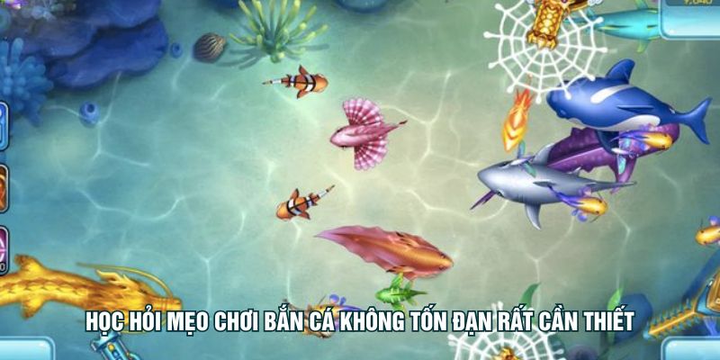 Học hỏi mẹo chơi bắn cá không tốn đạn rất cần thiết